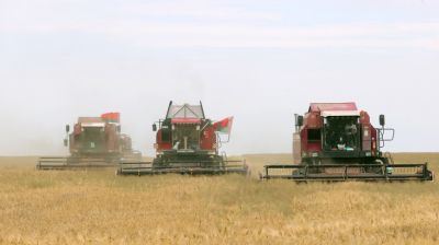 В Добрушском районе приступили к массовой уборке озимых зерновых