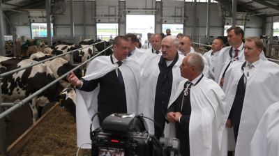 Лукашенко ознакомился с ситуацией в сельском хозяйстве