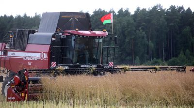 Механизатор КСУП "Бородичи" первым в Гродненской области намолотил свыше 1 тыс. т зерна нового урожая