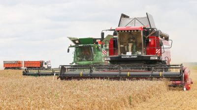 Аграрии Брестской области убрали 17% площадей зерновых и зернобобовых культур