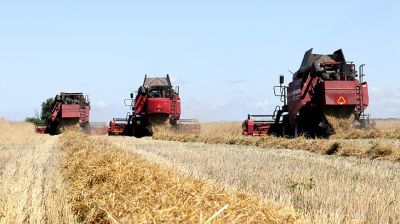 В Брагинском районе продолжается уборка зерновых