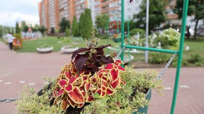 В Минске проходит городской смотр-конкурс "Формула сада"