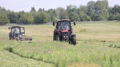 Травы второго укоса в Гомельской области скошены почти на 85% площадей