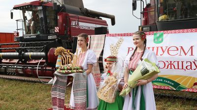 Хлеборобы Добрушского района первыми в области достигли знакового рубежа