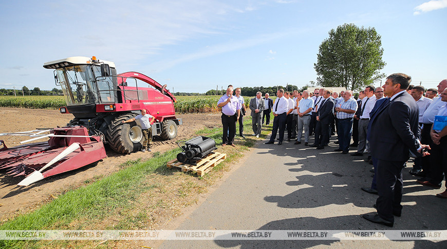 Семинар-совещание по уборке кукурузы прошел в Брестской области