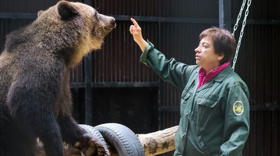Косолапые обитательницы Витебского зоопарка отпраздновали новоселье в просторном вольере