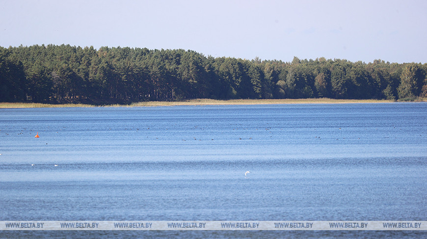 Озеро Нарочь - уникальная жемчужина природы Беларуси