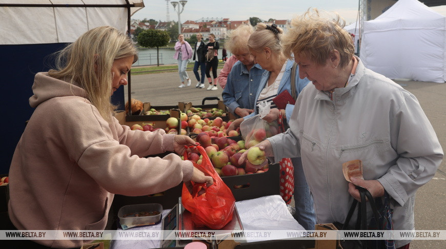 Осенние сельскохозяйственные ярмарки проходят в Минске
