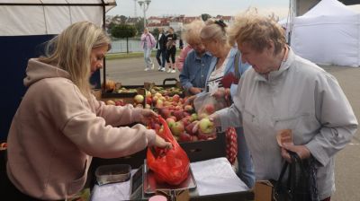 Осенние сельскохозяйственные ярмарки проходят в Минске