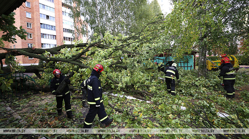 В Минске спасатели устранили последствия непогоды
