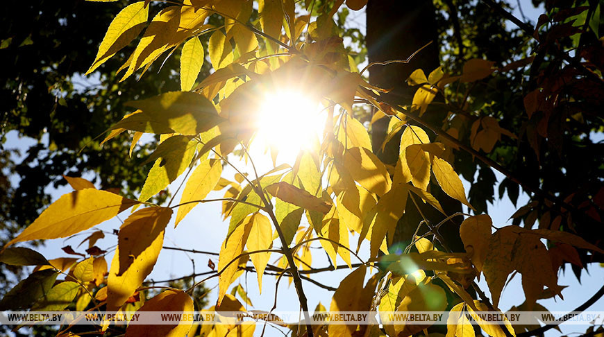 Золотая осень в Минской области