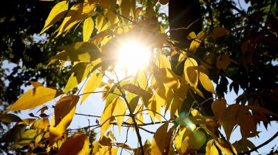 Золотая осень в Минской области