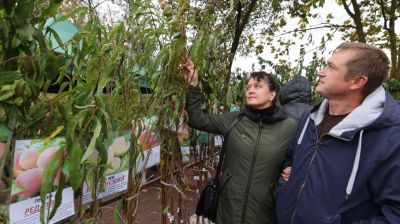 Городская сельскохозяйственная ярмарка проходит в Витебске