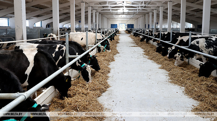 В Калинковичском районе открыли современный молочно-товарный комплекс