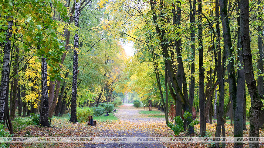 Осень в Севастопольском парке Минска