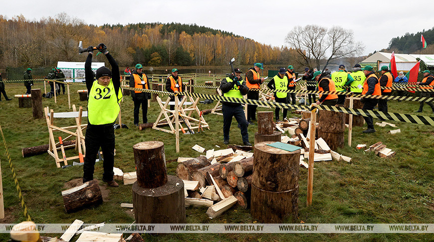Чемпионат по колке дров среди работников СМИ стартовал в Минском районе