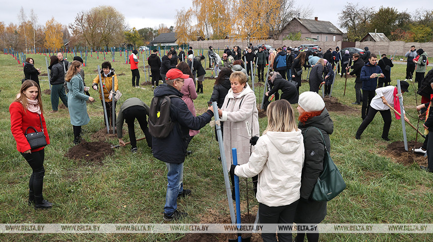 Аллею из 105 молодых яблонь высадили в Гомеле в честь годовщины ВЛКСМ