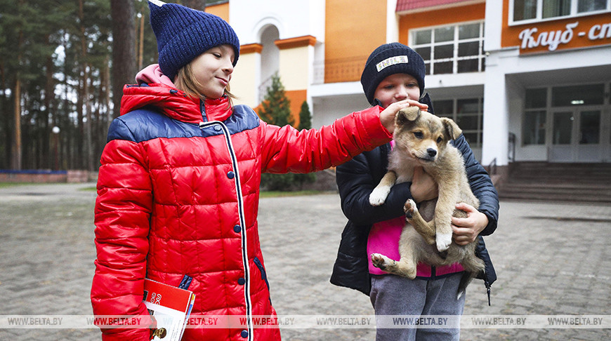 Красный крест организовал праздник для детей из Донбасса в оздоровительном центре "Колос"
