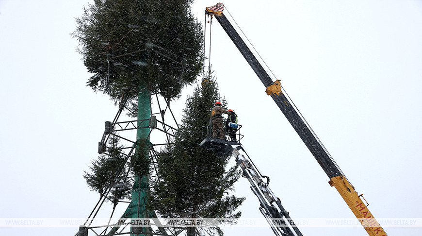 На площади Победы в Витебске идет монтаж главной в регионе новогодней елки