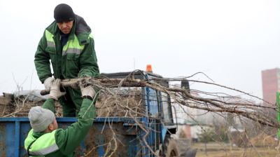 В Беларуси проходит акция по наведению порядка на земле, благоустройству и озеленению