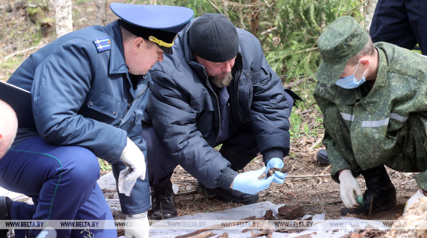 В урочище Волчий Дуб обнаружены останки четырех жертв карательной операции времен ВОВ