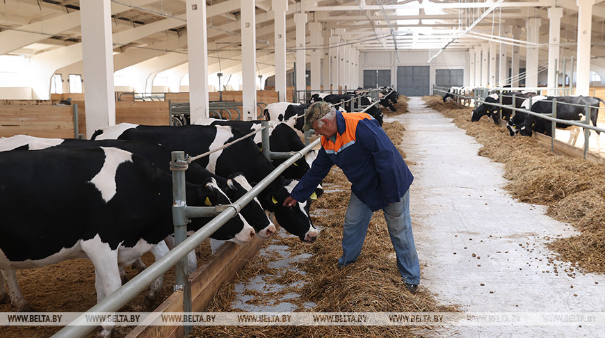 Новый молочно-товарный комплекс открыли в Комарине
