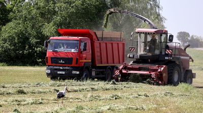 Первый укос многолетних трав ведут хозяйства Гродненской области