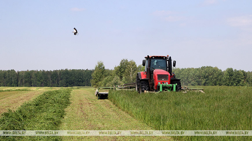 В Беларуси ведется заготовка кормов из трав первого укоса