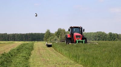 В Беларуси ведется заготовка кормов из трав первого укоса