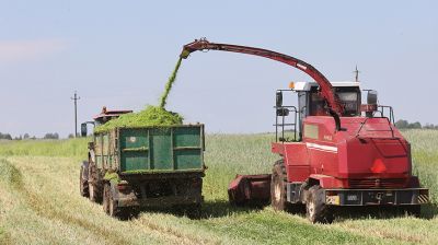 В Бешенковичском районе аграрии приступили к уборке смешанных трав
