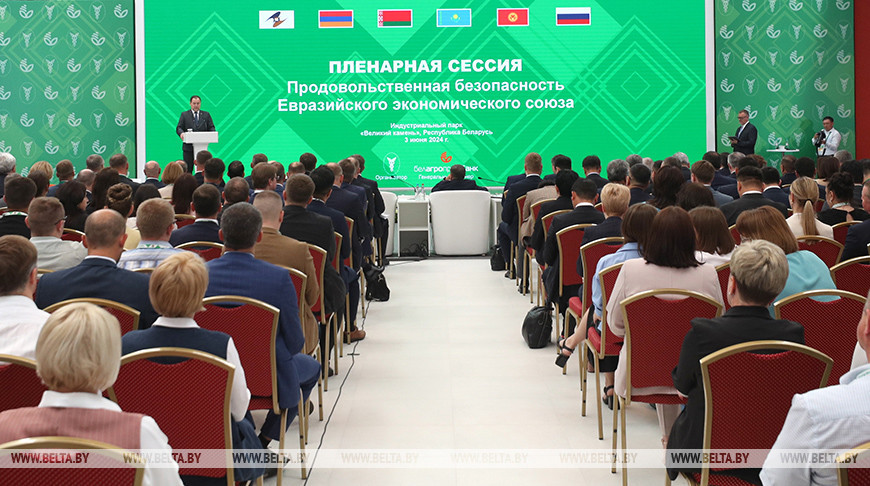 Головченко: странам ЕАЭС необходимо совместно реагировать на вызовы в сфере продбезопасности