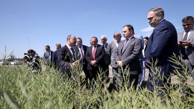Головченко: информатизация - один из важнейших компонентов дальнейшего развития сельского хозяйства  