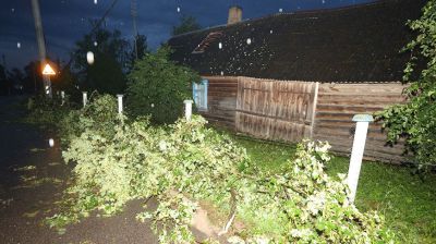 В Гродненской области бушевала непогода 