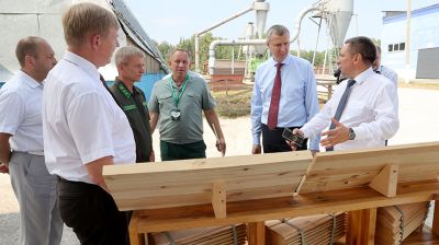 Крутой в пострадавшем от урагана Лельчицком районе: сейчас стоит задача спасти деловую древесину