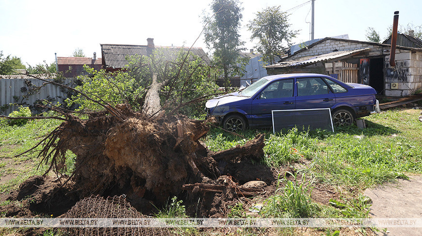 В Осиповичском районе ликвидируют последствия стихии