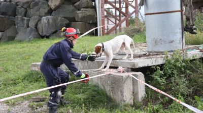 В Борисовском районе отряд "ЗУБР" готовится к переаттестации