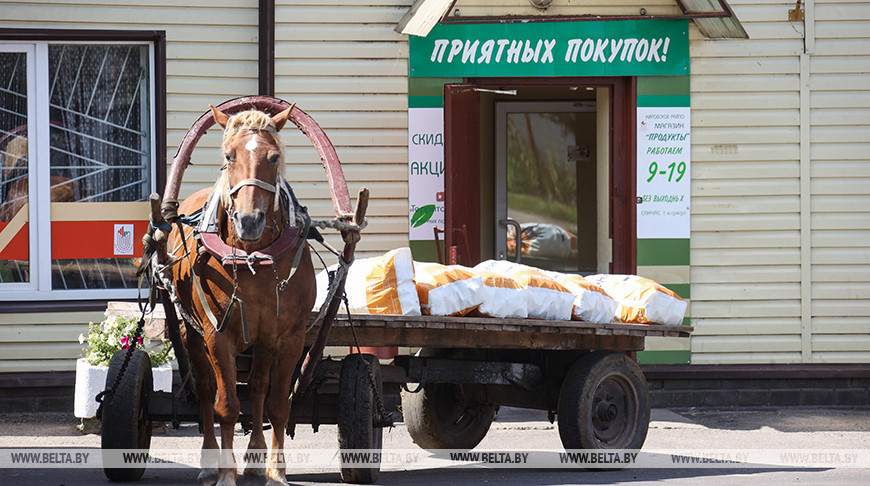 Потребкооперция Беларуси активно принимает сельхозпродукцию