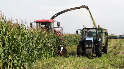 Аграрии Полесья продолжают уборку урожая