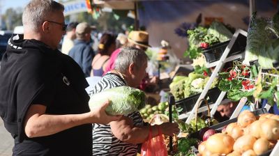 Доступные цены и угощения. "Большой минский кирмаш" развернулся у Дворца спорта в столице