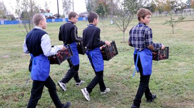 Более 20 садов высажено на пришкольных территориях в Жлобинском районе