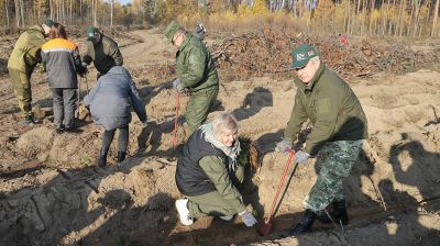 "Это еще один из факторов единения и единства". Крупко об акции "Дай лесу новае жыццё!"