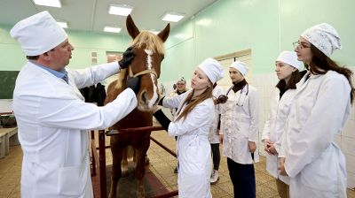 Создаем будущее, сохраняем традиции. Витебской ветеринарной академии 100 лет  