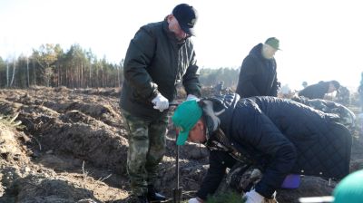 Пархомчик об акции "Дай лесу новае жыццё!": этот лес вырастет для будущего поколения