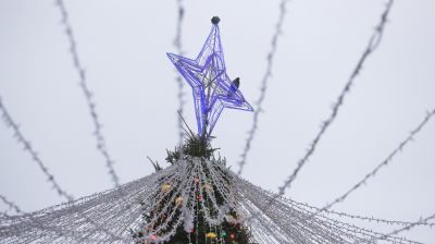 В Гродно украшают главную городскую елку