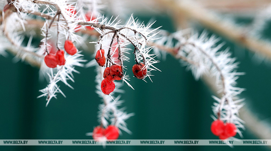 Зимний день в Витебском районе
