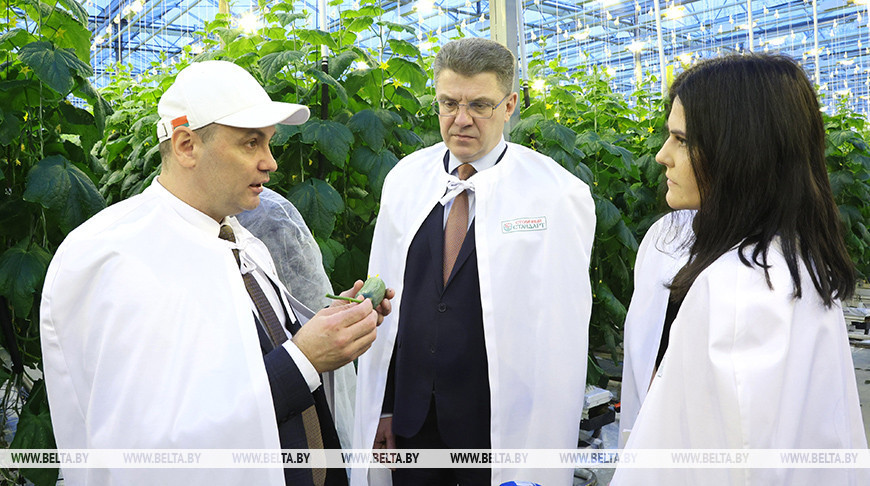 Кухарев ознакомился с результатами масштабной модернизации на Минском парниково-тепличном комбинате