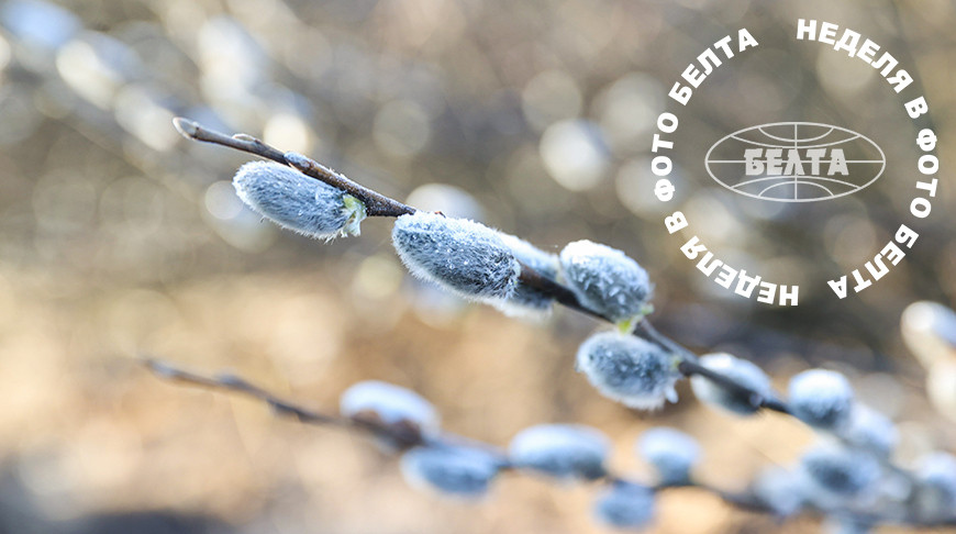 ЛУЧШИЕ ФОТО НЕДЕЛИ ПО ВЕРСИИ БЕЛТА  