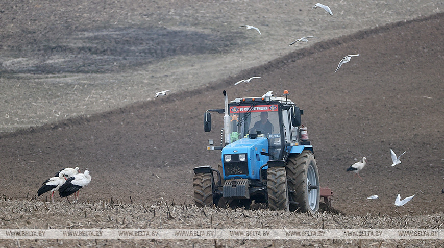 Сев ярового ячменя проходит в Гродненском районе