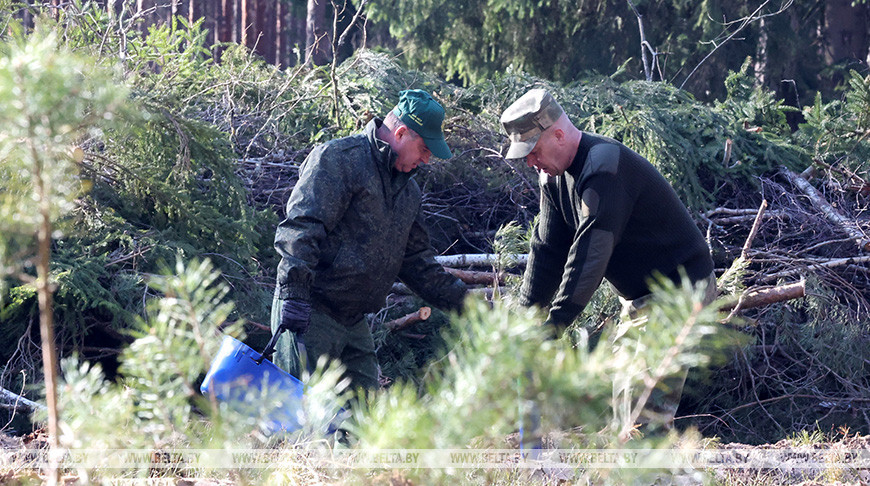 К акции "Дай лесу новае жыццё" присоединились представители Могилевского облисполкома