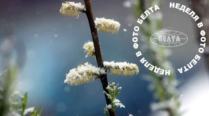 ЛУЧШИЕ ФОТО НЕДЕЛИ ПО ВЕРСИИ БЕЛТА